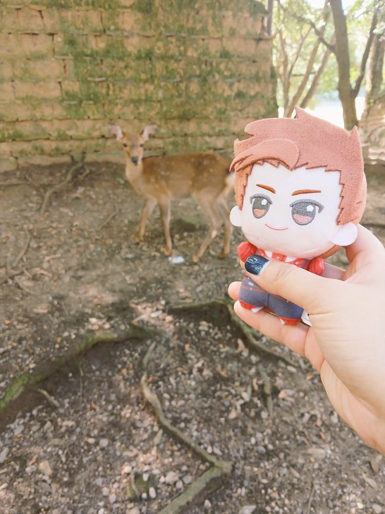 Lloyd Irving in the deer park in Nara.
