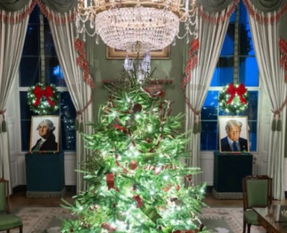 Cropped photo from the White House’s Christmas display showing a brightly lit tree under a chandelier framed by windows on either side. On display in front of the windows are two portraits - George Washington to the left and a glaring trunk to the right. 