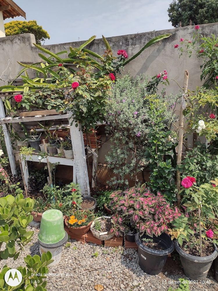 Foto de Vera Cruz, São Paulo