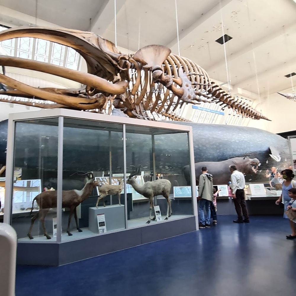 Foto de Itabaiana, Sergipe