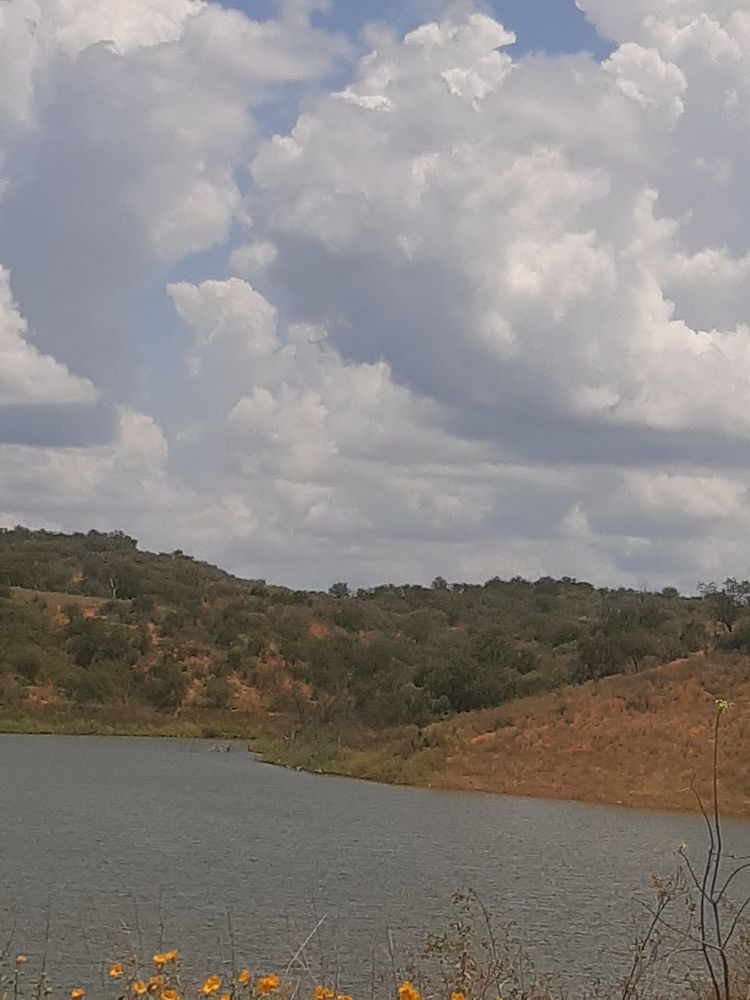 Foto de São Julião, Piauí