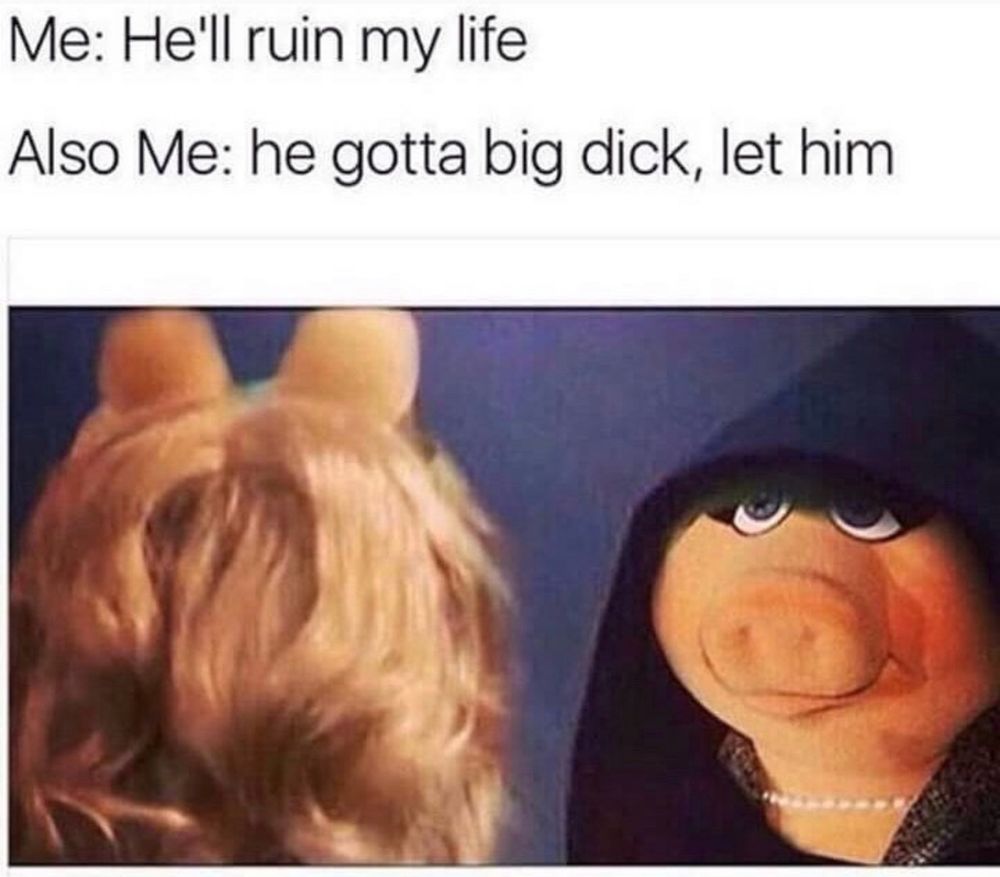Meme: Miss Piggy looking at Evil Miss Piggy in mirror.

“Me: He’ll ruin my life. Also Me: He gotta big dick, let him.)