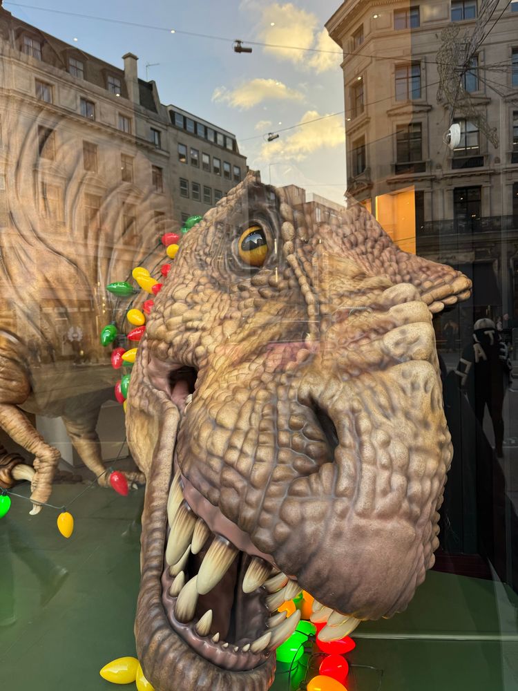 A T-Rex in a shop window display, decorated in Christmas lights 