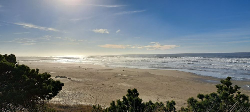 A view of the coastline from atop an overlook. Green shrubbery and brown beach grass can be seen in the foreground. The sun shines in a pale blue sky with few thin clouds. Two jetties jut into the ocean at the mouth of the bay as the tide recedes. 