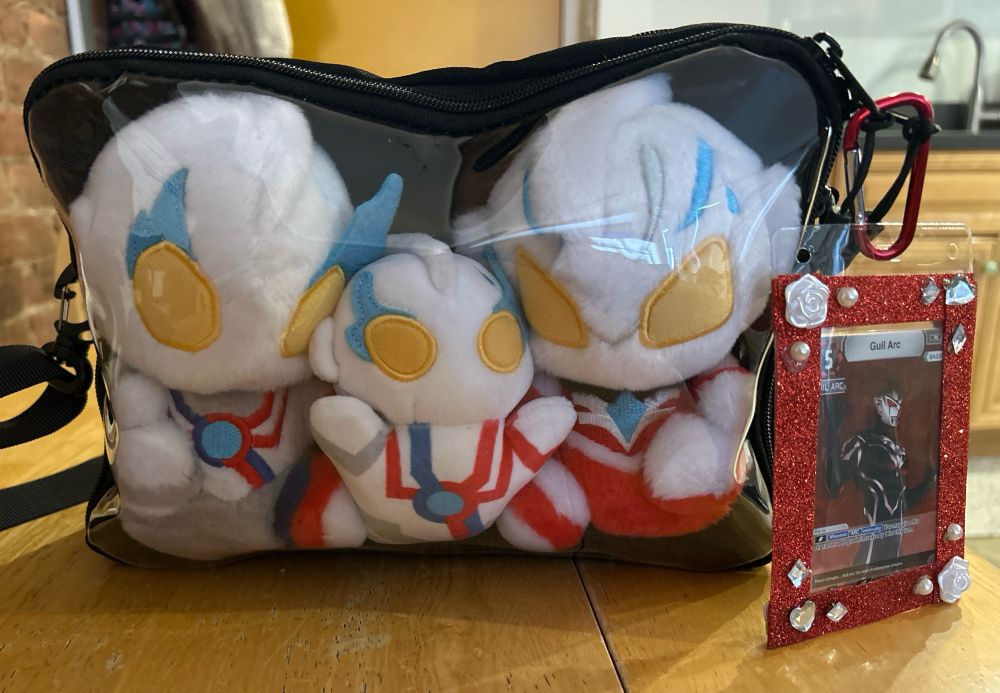 a blazar and arc itabag
