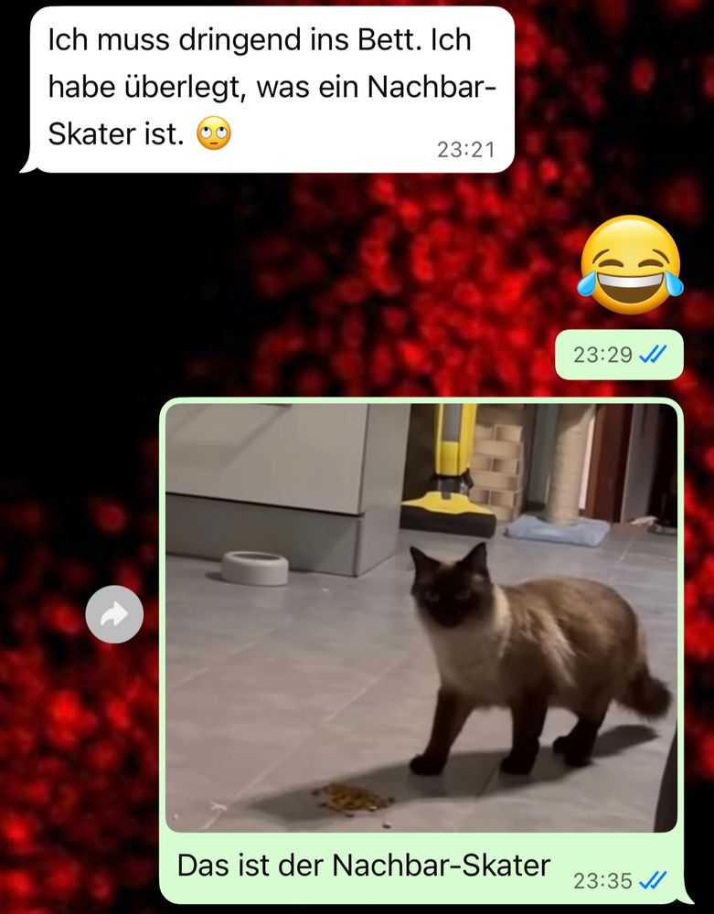 „Ich muss dringend ins Bett, ich hab mich gewundert was ein Nachbar-Skater Ist.“

Ich: [lach-Smiley] Das ist der Nachbar-Skater (Bild von Shadow, dem Kater)