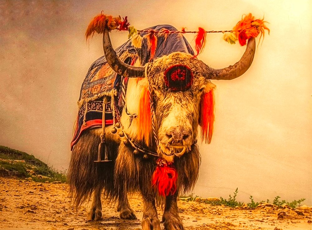 Irgendein bunt dekoriertes Hörnertier auf weiter Steppe. Alles im asiatischen Stil gehalten.
