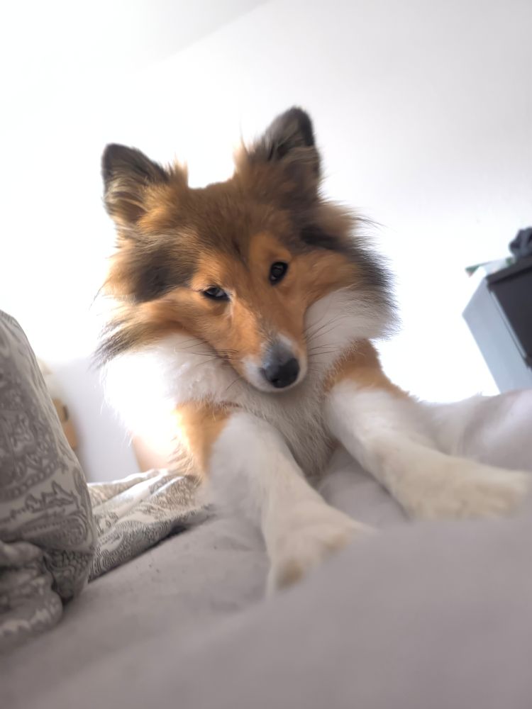 Hina doing a Big Stretch™.