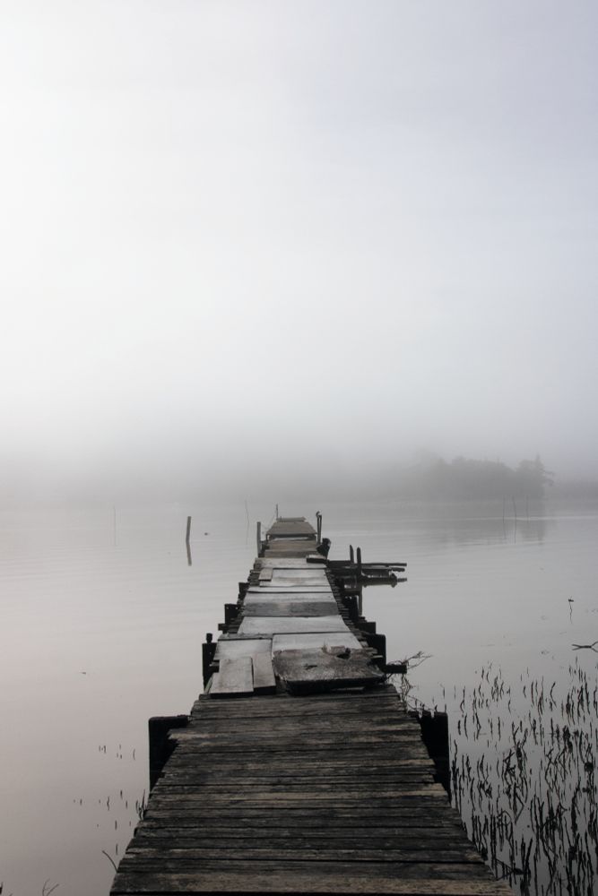 The picture shows a fishing pier going out to a river bathed in fog. The fog swallows most of the image, only leaving hints of the distant shore of the river's other side. The stark black wood of the pier offers a striking contrast to the scene. The pier itself is clearly homemade, a pieced together patchwork of many different pieces of wood. In the distance, a tiny bird is perched at the very end of the pier.