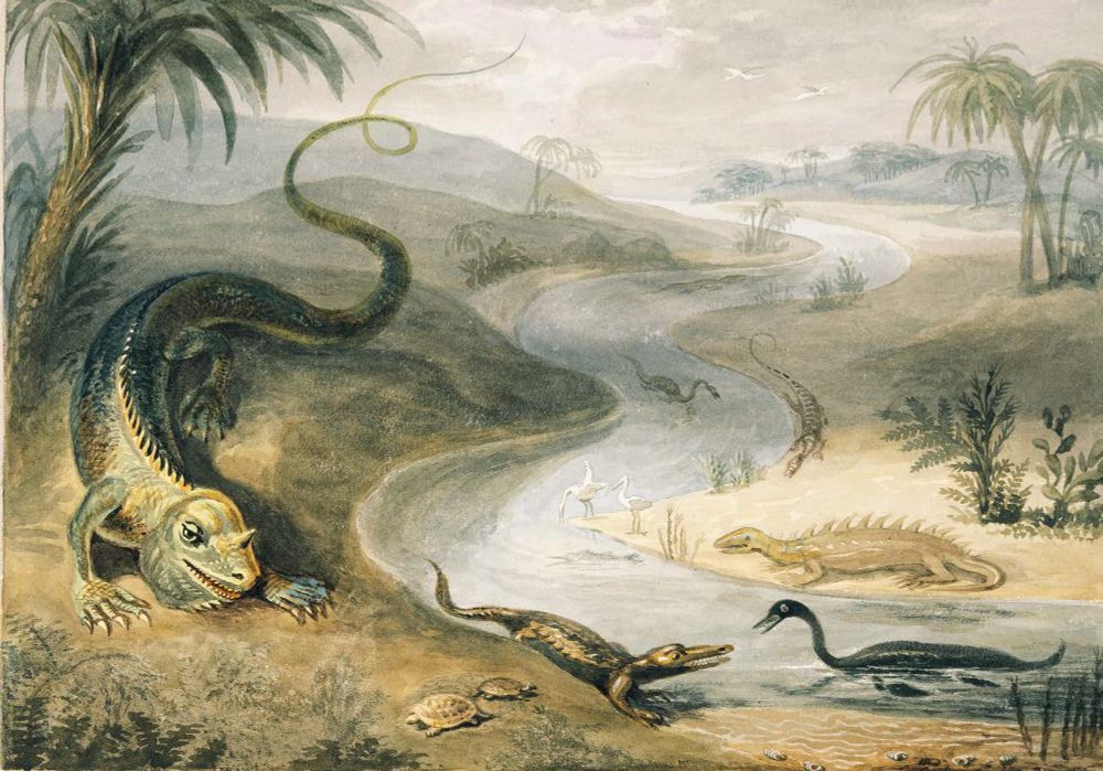 Watercolour and pencil sketch showing a Cretaceous landscape as understood in 1833. A lizard-like Iguanodon is shown at left alongside a large palm tree, its tail whirling over rolling hills in the distance. A meandering river bisects the scene, with other animals along its banks. These are, from the top down, a swimming plesiosaur in the stream, a monitor lizard-like Megalosaurus, stork-like birds, the spiky Hylaeosaurus, another swimming plesiosaur, a somewhat dog-like crocodile, and two turtles. The right side of the image shows fern-like plants, reeds and more palm trees.