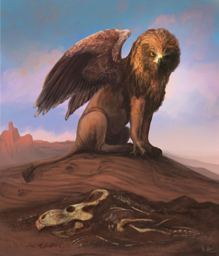 A griffin, with the face, forelegs and wings of an eagle, and the neck, body, legs and tail of a lion, poses next to an (idealised) emerging skeleton of Protoceratops, a fossil species proposed on spurious grounds to be the inspiration for the griffin myth. Surrounding them is the Gobi desert, the home of Protoceratops fossils.