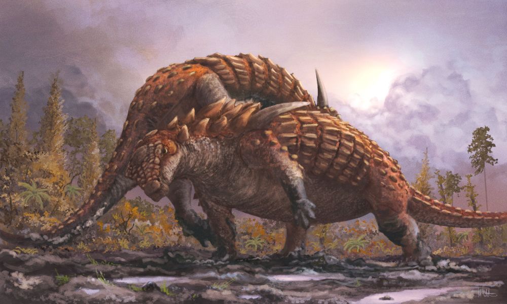 Against a light purple sky and yellowish plantscape, two russet-coloured armoured dinosaurs wrestle in wet mud, one having got purchase under its rival to heave it up: will it topple over? Why would ankylosaurs do this? Fighting over resources, like lady ankylosaurs or territory? It's hard to say. Ultimately, animals are a lot like people, Mrs. Simpson. Some of them act badly because they’ve had a hard life or have been mistreated. But, like people, some of them are just jerks.