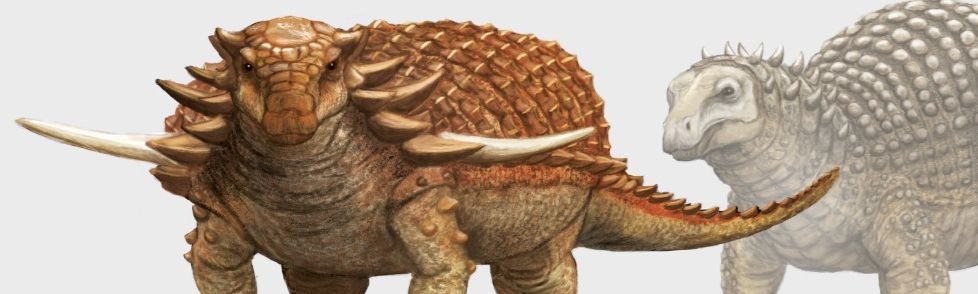 Cropped image of a modern and old-school take on armoured dinosaurs. The modern image, showing Borealopelta, is on the left, with brown colouring deduced from analysis of the Borealopelta fossil. The right, slightly faded image shows a stereotyped vision of nodosaurs based on various 20th century artworks.