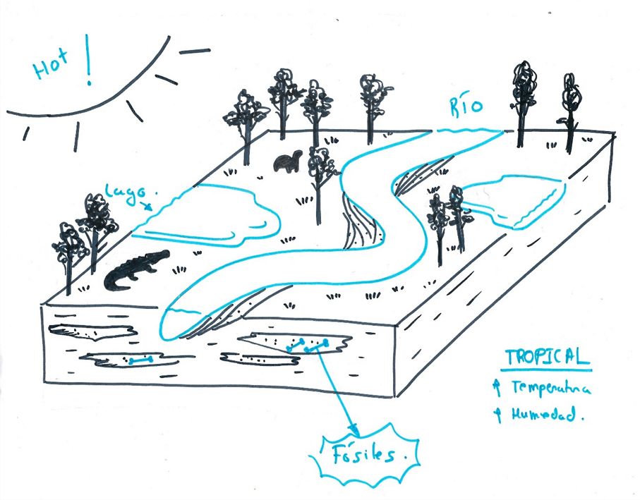 Este tipo de ambientes son ideales para preservar fósiles de vertebrados, ya que suelen tener un aporte de sedimentos contante permitiendo un enterramiento rápido y efectivo de las faunas que los habitaron.
El clima intertropical, húmedo y cálido como el que había durante el eoceno en la península ibérica son ideales para que los grandes mamíferos, cocodrilos y tortugas prosperasen.
