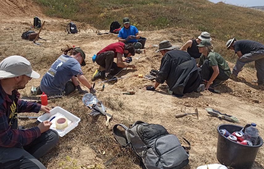 Trabajos de excavación paleontológica en un nuevo yacimiento de vertebrados de la provincia de Zamora, este mes de junio, 2025. Equipo de trabajo formado por profesores, investigadores y estudiantes de la Universidad de Salamanca (Dpto. de Geología) y la UNED (Grupo de Biología Evolutiva).