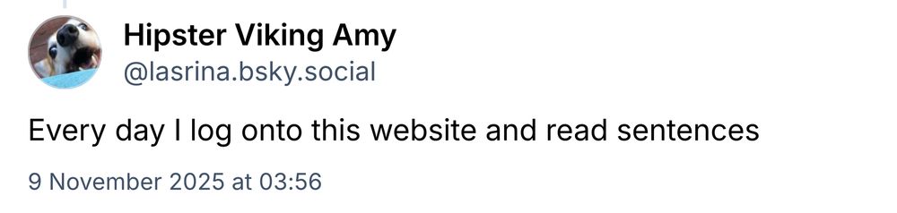 Screenshot skeet from Hipster Viking Amy ‘ Every day I log onto this website and read sentences’