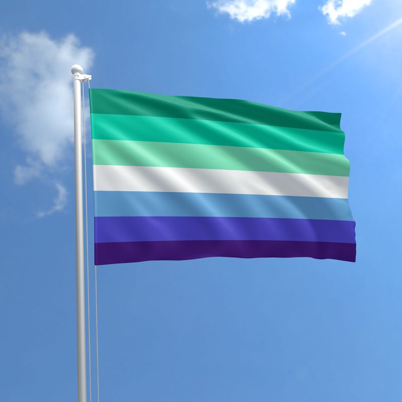 the gay/mlm flag 