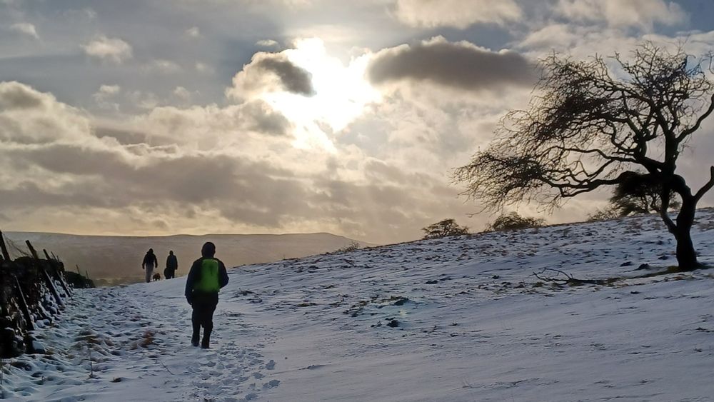 Hikers trudge through snow near a bare tree silhouette, as the sun looks moody behind clouds.