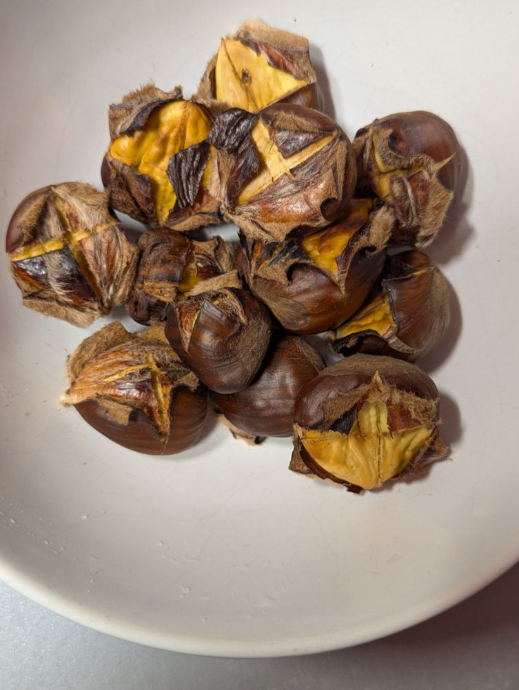 Bol con una docena de castañas asadas es satysfrier. 