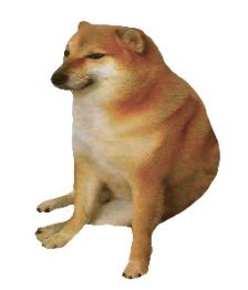 Primer plano de Cheems, el perrillo flojo.