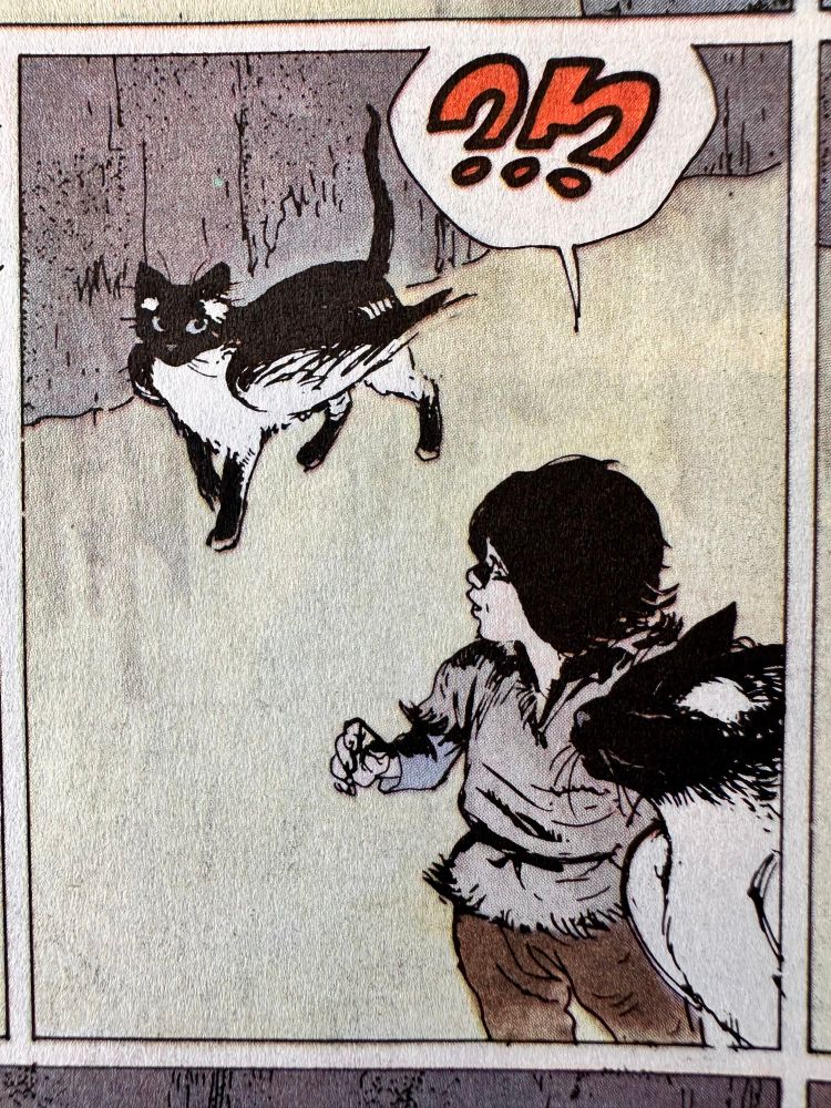 A comic panel of two cats and the protagonist, one of which looks confused