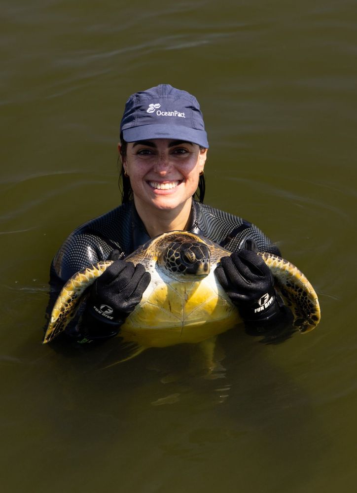 Testes com tartarugas-verde da Baía de Guanabara sugere melhoria da qualidade da água