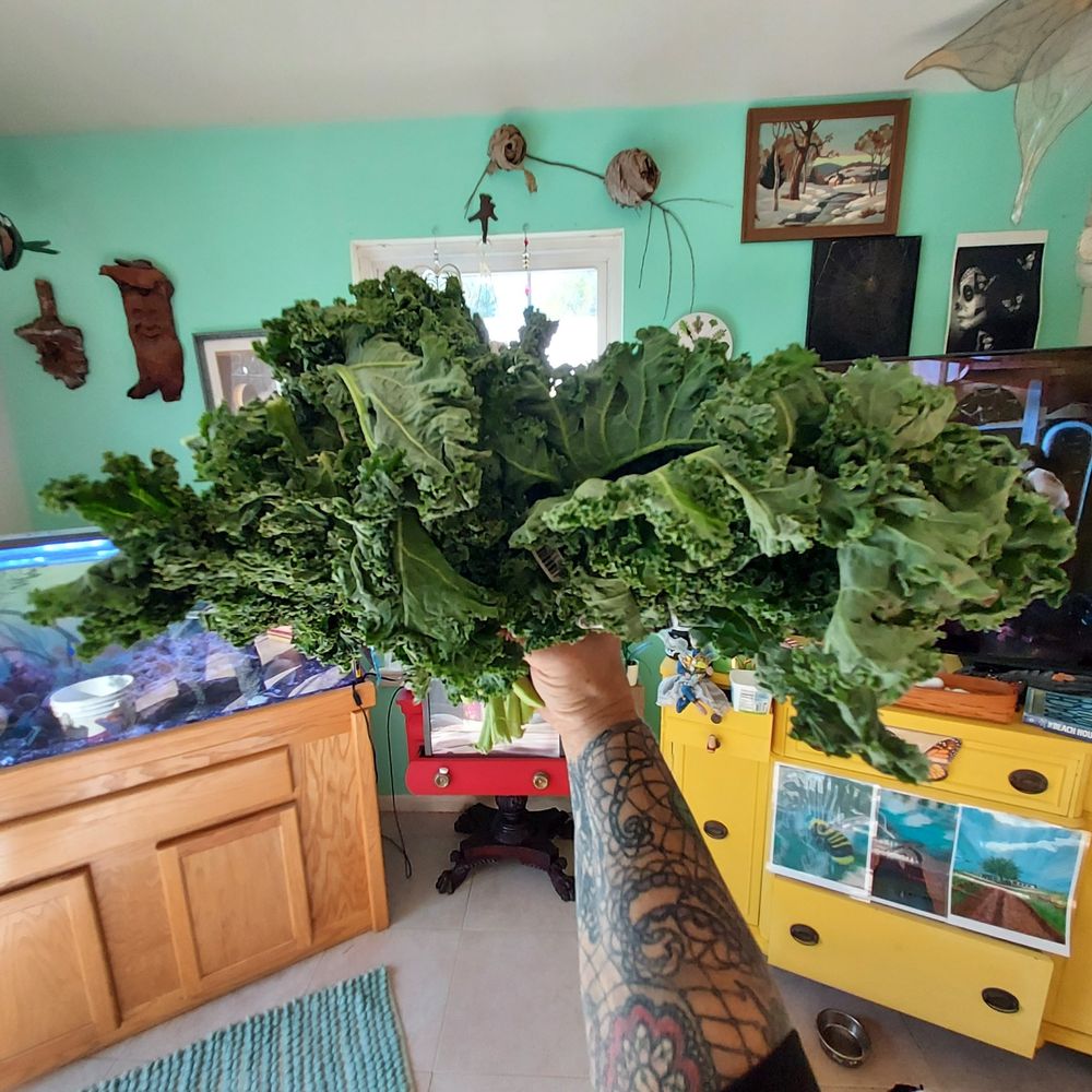 Mood . . . my tattooed arm holding up a pretty bouquet of kale giving thanks to the United Farm Workers. I appreciate them!