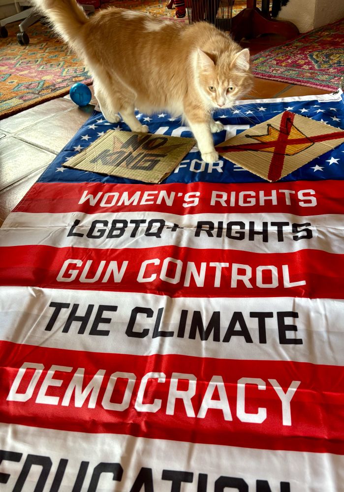 Ginger cat on top of protest signs that say No Kings and a banner flag that supports women’s and LGBTQ+, climate, gun safety, democracy, education, immigration and decency. 