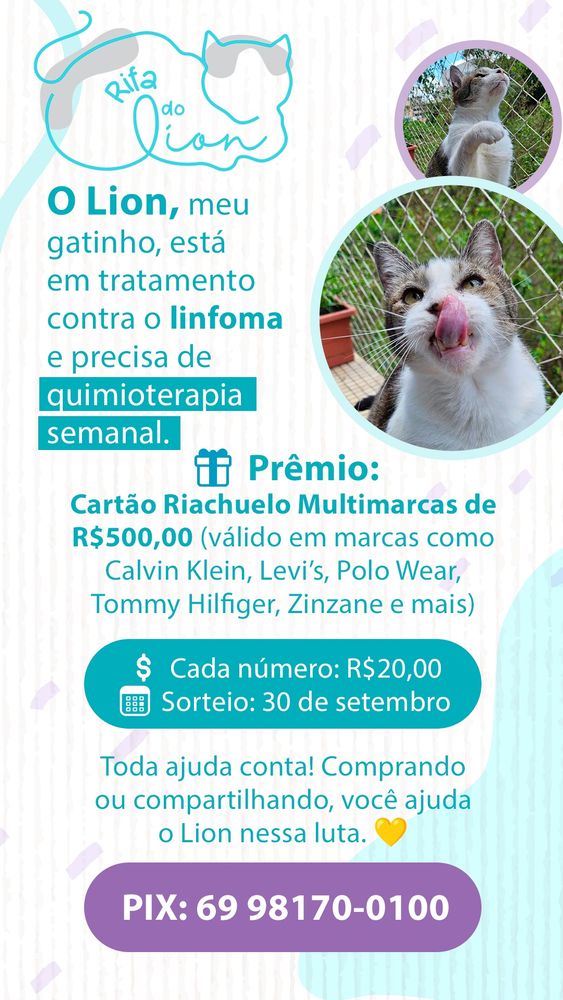 card Rifa do Lion 
O lion, meu gatinho, está em tratamento contra o linfoma e precisa de quimioterapia semanal.
prêmio: um vale compras nos valor de 500 reais riachuelo multimarcas (calvin klein, levi’s, polo wear, zinzane) 

cada número custa 20 reais 
sorteio: 30 de setembro 

pix: 69 98170-0100
