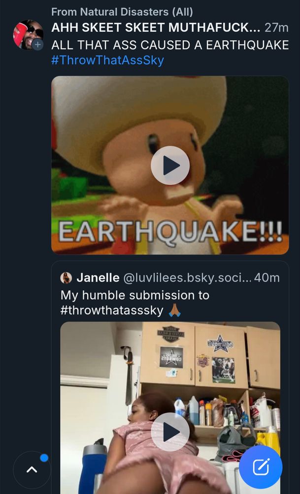 The "Natural Disasters (All)" feed again.

This time with a skeet from "AHH SKEET SKEET MUTHAFUCKA" saying "ALL THAT ASS CAUSED AN EARTHQUAKE #ThrowThatAssSky", a gif of Toad from Mario saying "EARTHQUAKE!!!", and a quote skeet of a video of a woman twerking