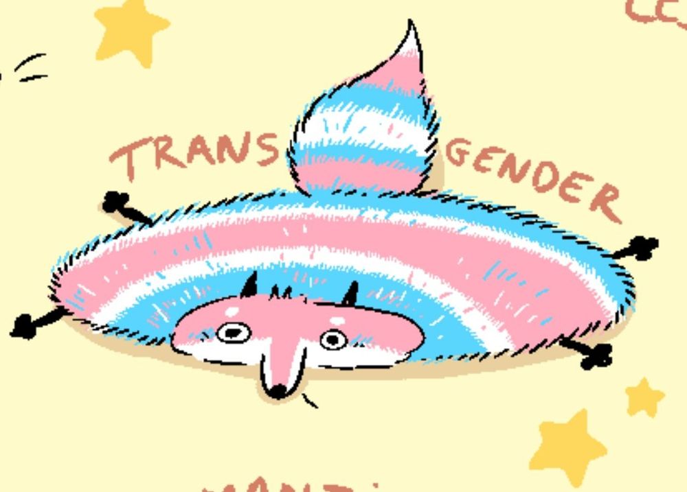 A drawing of a flat, fat fox with the trans flag colours that says 'transgender' on top