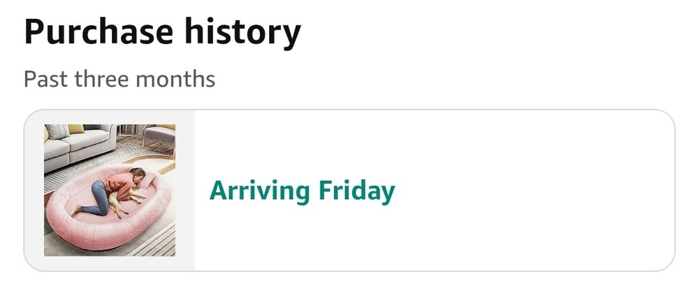 pink dogbed in purchase history, arriving Friday