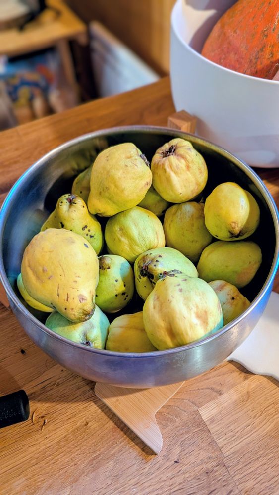 Un saladier en inox rempli de coings jaune-verts sur un plan de travail en bois 