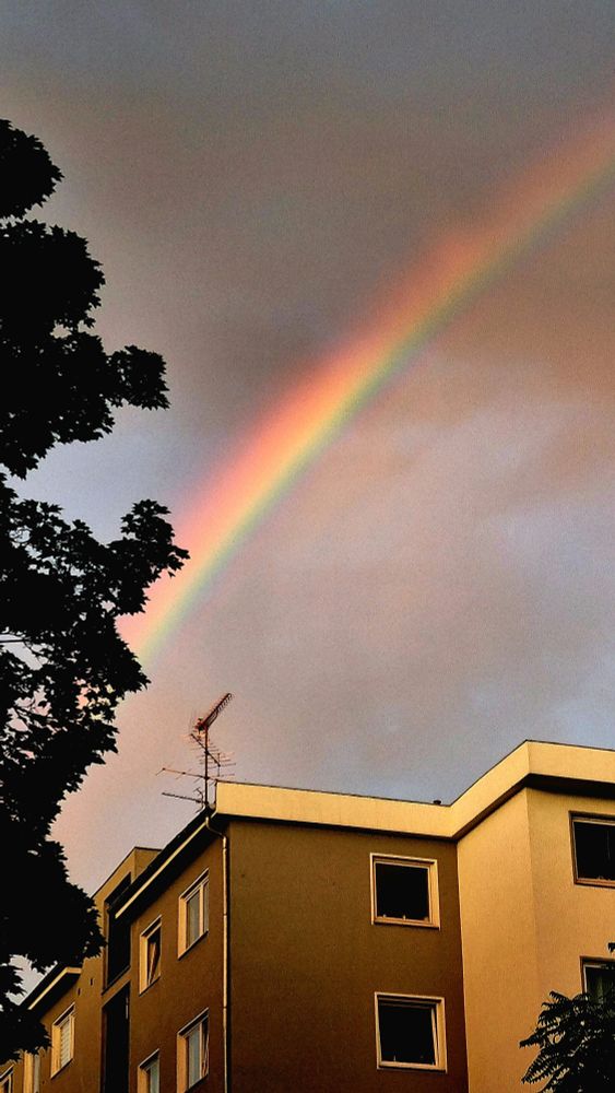 fetter regenbogen über wohnhäusern und baumwipfeln am graublauen himmel