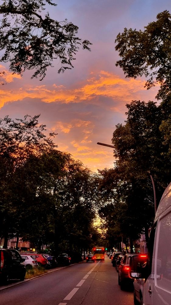 orangerote wolken zwischen baumwipfeln am lilafarbenen himmel über einer allee mit autolichtern
