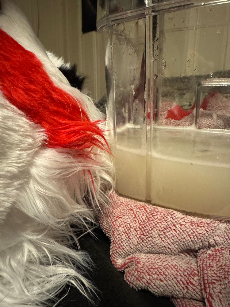 On the left, the side of a fursuit head. On the right, a transparent tank of dirty, soapy water.