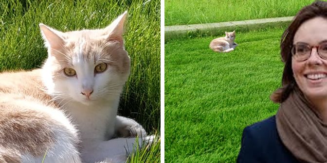 Image 1 : photo de mon chat vu de près
Image 2 : photo de mon chat vu de loin (avec Amélie de Montchalin sur le côté)
Oui, la vanne est pourrie.