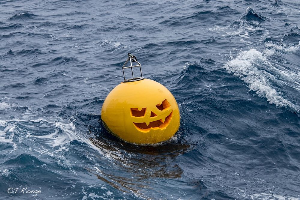 A yellow buoy bobbing in the waves with a photo-shopped pumpkin grimace. 