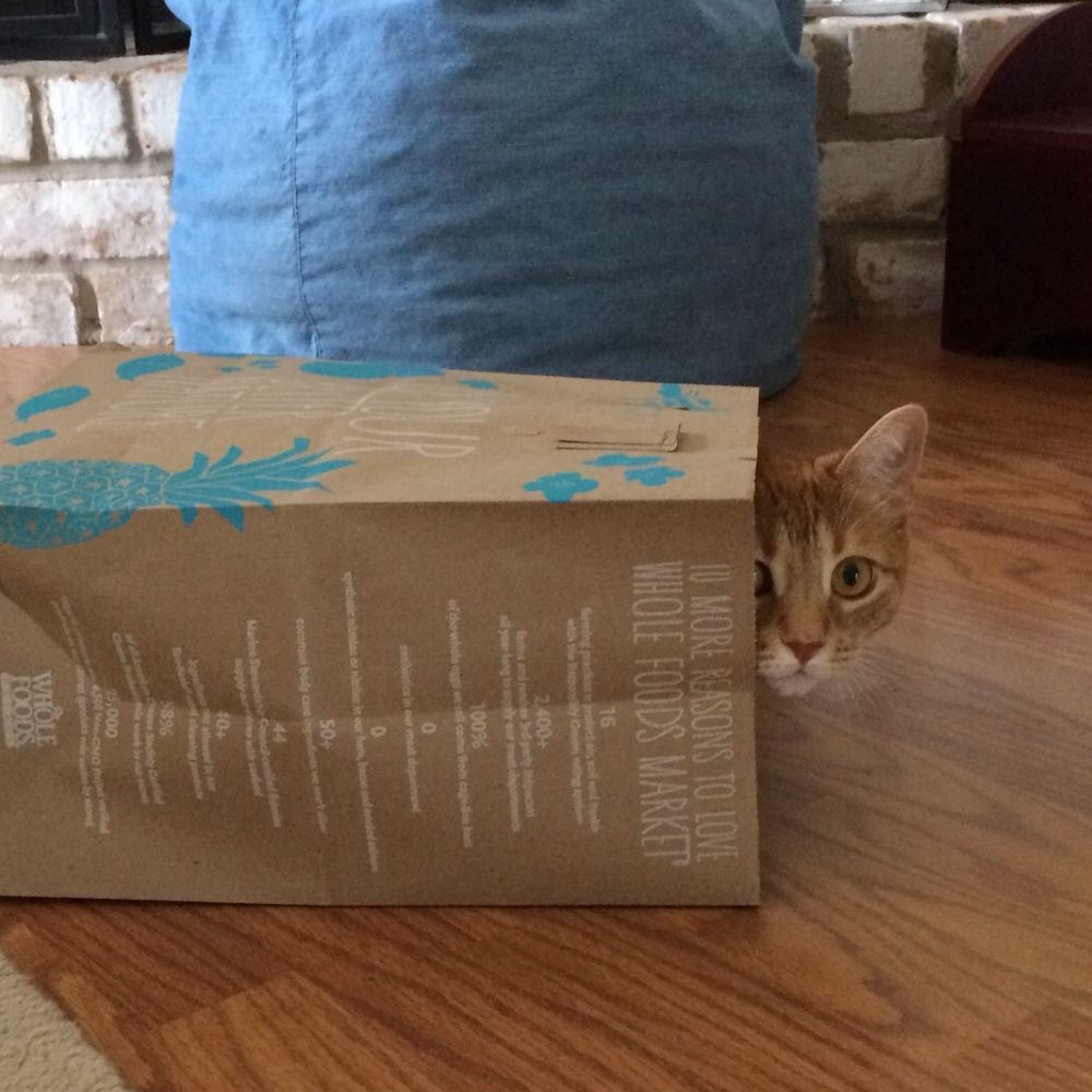 Orange kitty peeking out of a paper grocery bag. 
