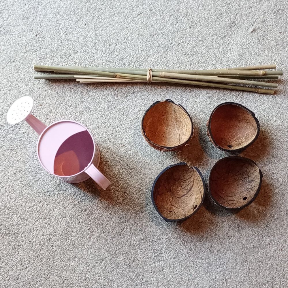 Sticks, coconut shells and small watering can