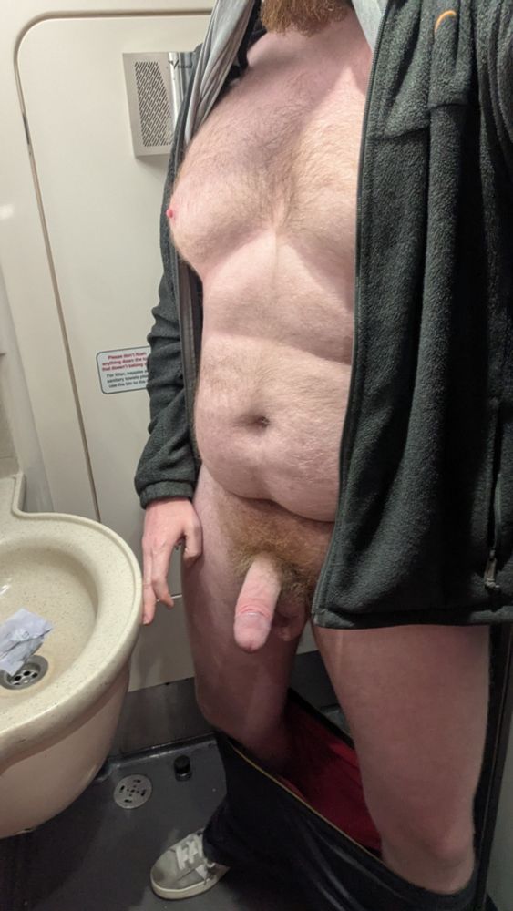 A photo from the chest down of a hairy man in a train lav with his shorts around his ankles.