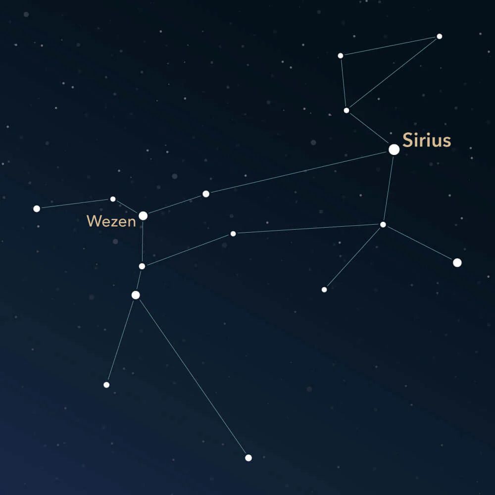 Constellation map of Canis Major, showing Sirius' position at the base of the dog's neck. 