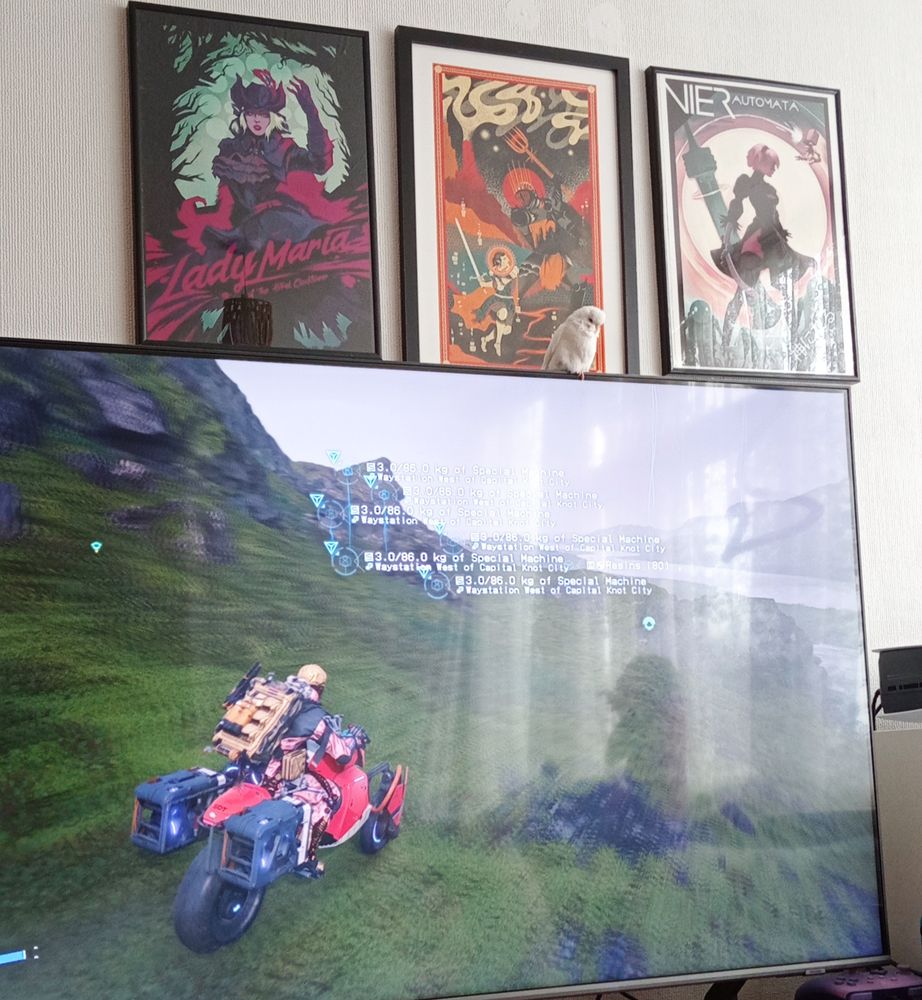 A small white budgie is perched on a large TV. On the screen is Death Stranding and on the wall are three framed prints from Bloodborne, LOTR, and Nier Automata.