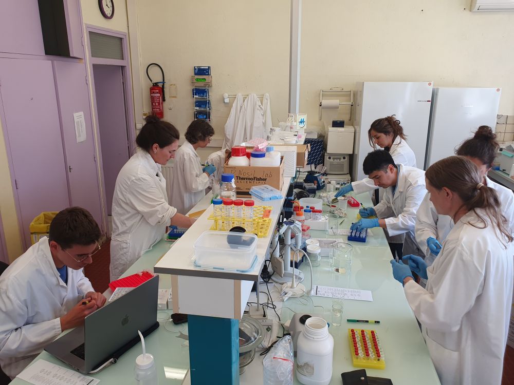 Participants of the Population Genomics Workshop during a laboratory session