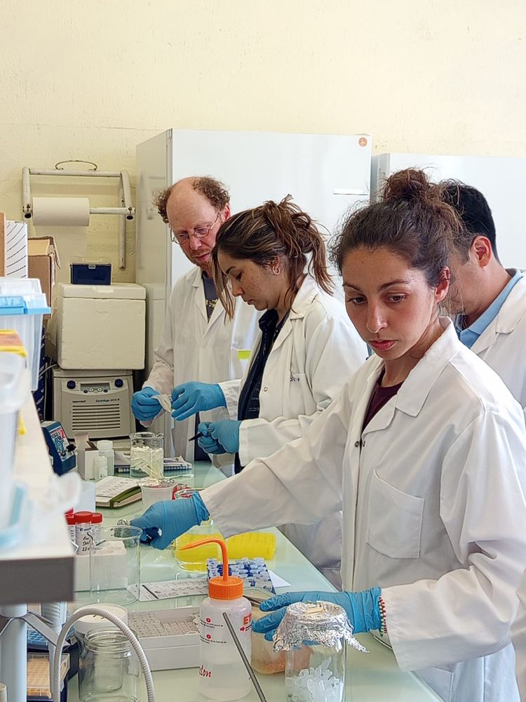 Participants of the Population Genomics Workshop during a laboratory session