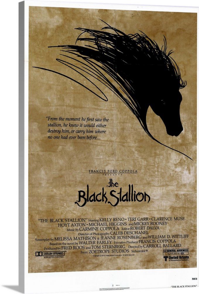 The Black Stallion movie poster.