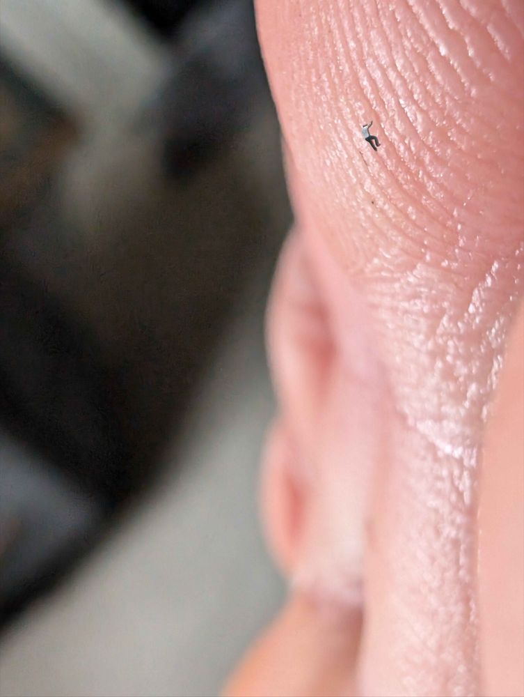 Extreme close up of my middle toe from the side. A tiny guy is climbing on it. 