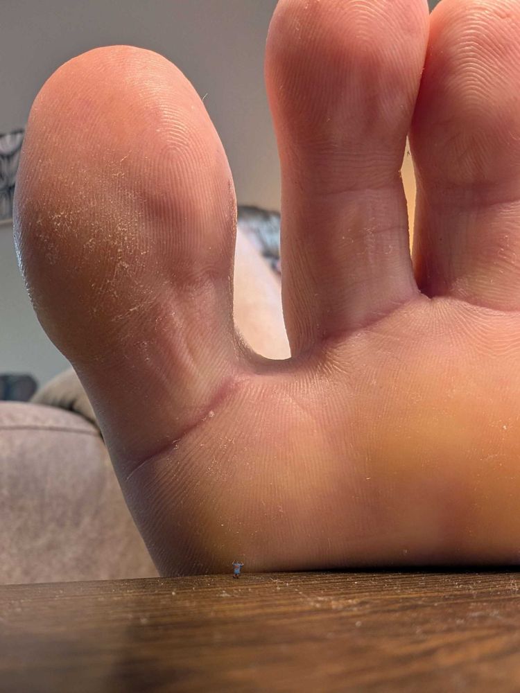 My sole pressed against a side table with an ant sized man kneeling over to lick the ball of my foot