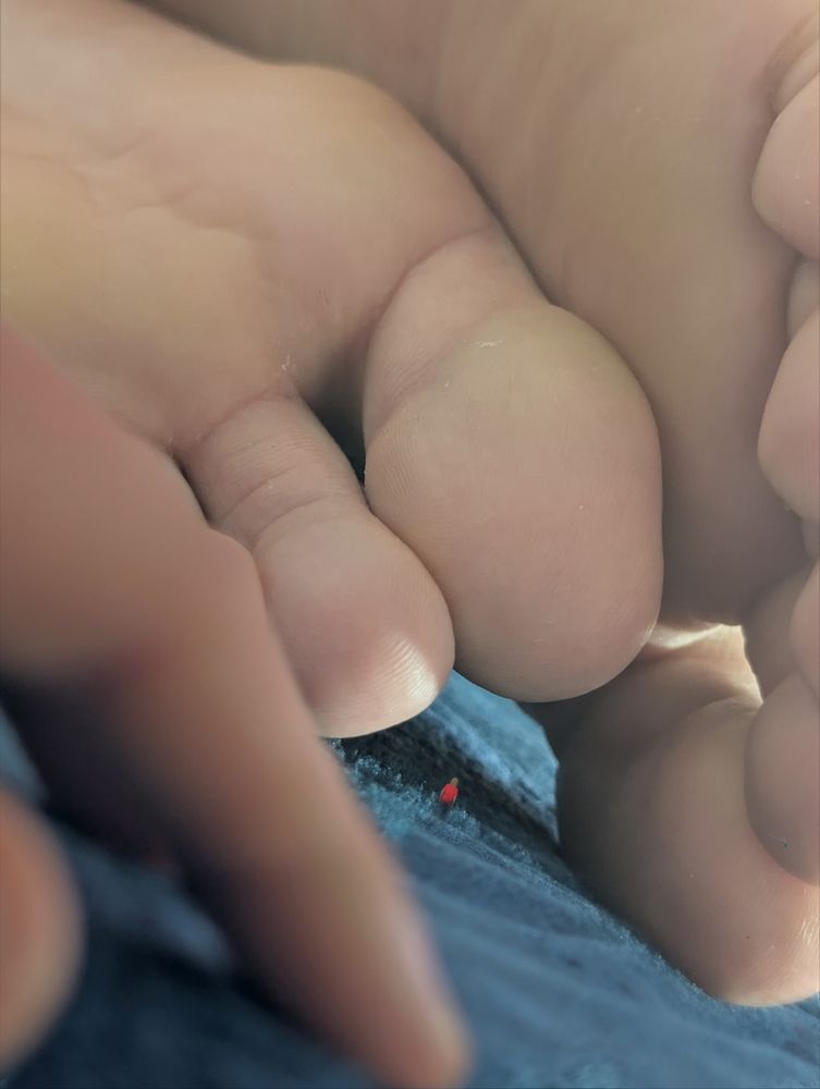 A close-up of my toes and soles while I lay on the bed. Down by my toes is a tiny person staring up at them. In the foreground is a hand of the pic taker's POV