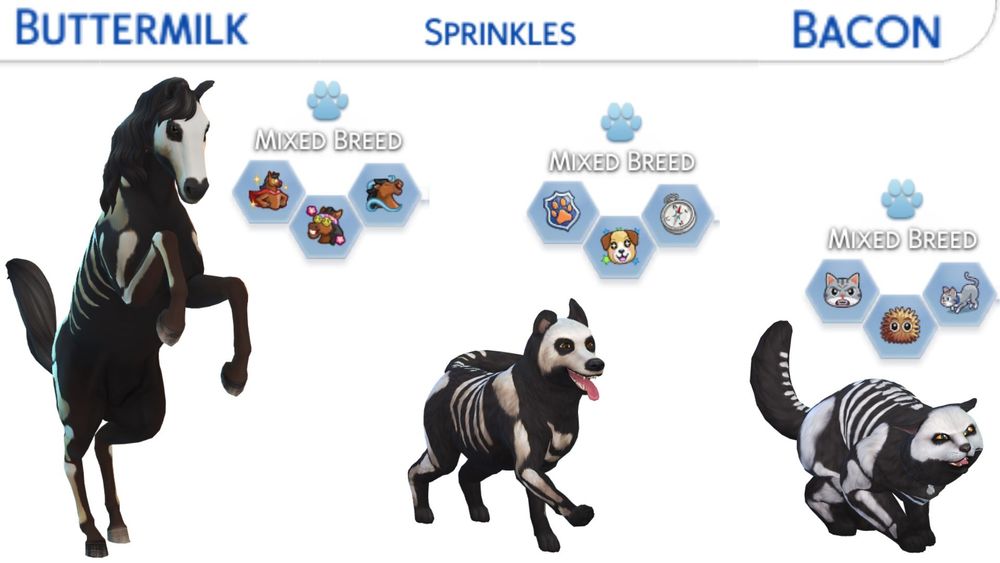 Buttermilk is a Mixed Breed Horse.
Buttermilk is Brave, Mellow and a Free Spirit.
Buttermlik is black with white bones on it.

Sprinkles is a Mixed Breed Dog.
Sprinkles is Loyal, Playful and Aventurous.
Sprinkles is black with white bones on it.

Bacon is a Mixed Breed Cat.
Bacon is Territorial, Fluffy and Prowler.
Bacon is black with white bones on it.